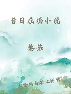 昔日成殤小說